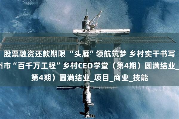 股票融资还款期限 “头雁”领航筑梦 乡村实干书写振兴答卷——广州市“百千万工程”乡村CEO学堂（第4期）圆满结业_项目_商业_技能