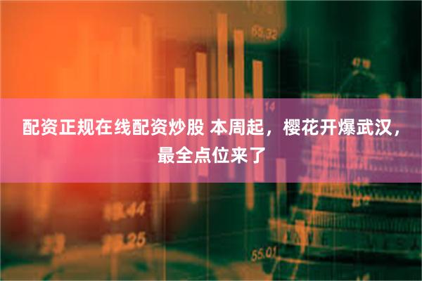 配资正规在线配资炒股 本周起，樱花开爆武汉，最全点位来了