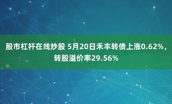 股市杠杆在线炒股 5月20日禾丰转债上涨0.62%，转股溢价率29.56%