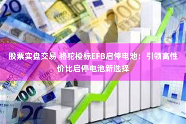 股票实盘交易 骆驼橙标EFB启停电池：引领高性价比启停电池新选择