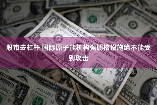 股市去杠杆 国际原子能机构强调核设施绝不能受到攻击