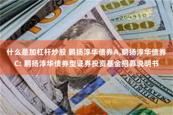 什么是加杠杆炒股 鹏扬淳华债券A,鹏扬淳华债券C: 鹏扬淳华债券型证券投资基金招募说明书