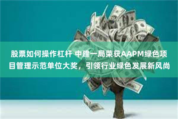 股票如何操作杠杆 中建一局荣获AAPM绿色项目管理示范单位大奖，引领行业绿色发展新风尚