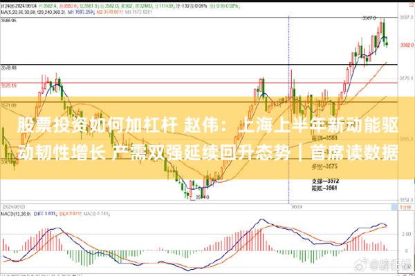股票投资如何加杠杆 赵伟：上海上半年新动能驱动韧性增长 产需双强延续回升态势︱首席读数据