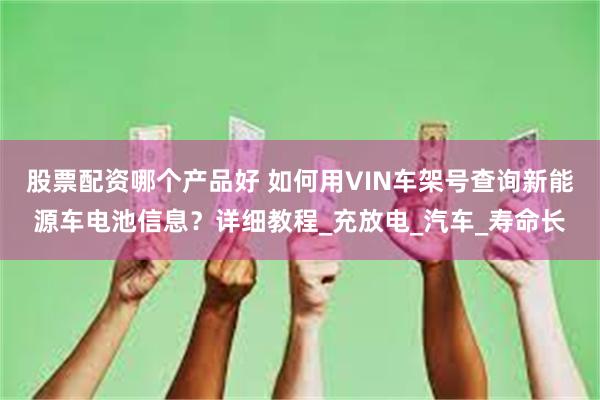 股票配资哪个产品好 如何用VIN车架号查询新能源车电池信息？详细教程_充放电_汽车_寿命长