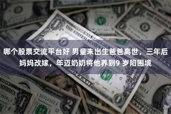 哪个股票交流平台好 男童未出生爸爸离世,三年后妈妈改嫁,年迈奶奶将他养到9 岁陷困境