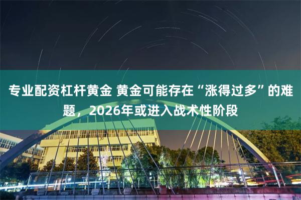 专业配资杠杆黄金 黄金可能存在“涨得过多”的难题,2026年或进入战术性阶段
