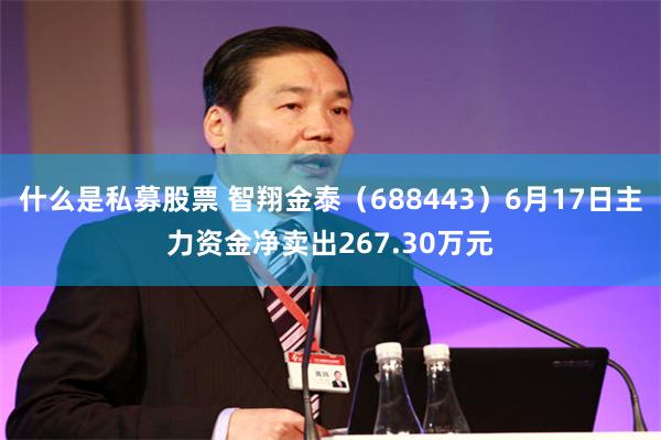什么是私募股票 智翔金泰（688443）6月17日主力资金净卖出267.30万元