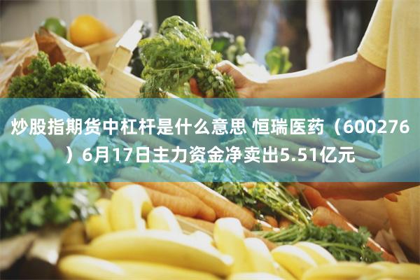 炒股指期货中杠杆是什么意思 恒瑞医药（600276）6月17日主力资金净卖出5.51亿元