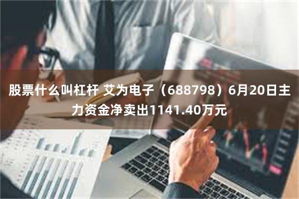 股票什么叫杠杆 艾为电子（688798）6月20日主力资金净卖出1141.40万元