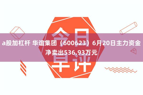 a股加杠杆 华谊集团（600623）6月20日主力资金净卖出536.93万元