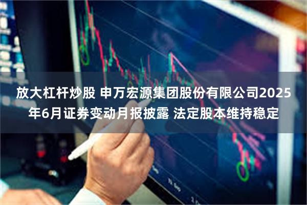 放大杠杆炒股 申万宏源集团股份有限公司2025年6月证券变动月报披露 法定股本维持稳定