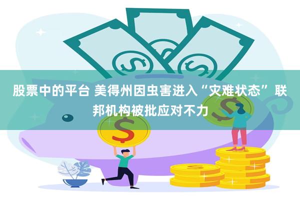 股票中的平台 美得州因虫害进入“灾难状态” 联邦机构被批应对不力