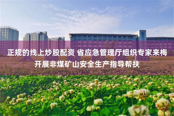 正规的线上炒股配资 省应急管理厅组织专家来梅开展非煤矿山安全生产指导帮扶