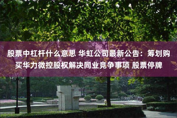 股票中杠杆什么意思 华虹公司最新公告：筹划购买华力微控股权解决同业竞争事项 股票停牌