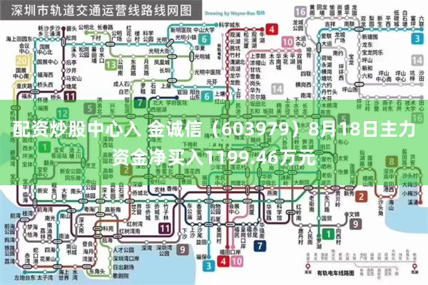 配资炒股中心入 金诚信（603979）8月18日主力资金净买入1199.46万元