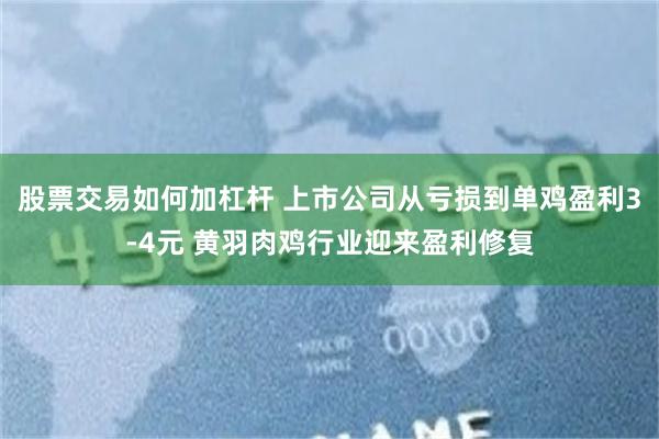 股票交易如何加杠杆 上市公司从亏损到单鸡盈利3-4元 黄羽肉鸡行业迎来盈利修复