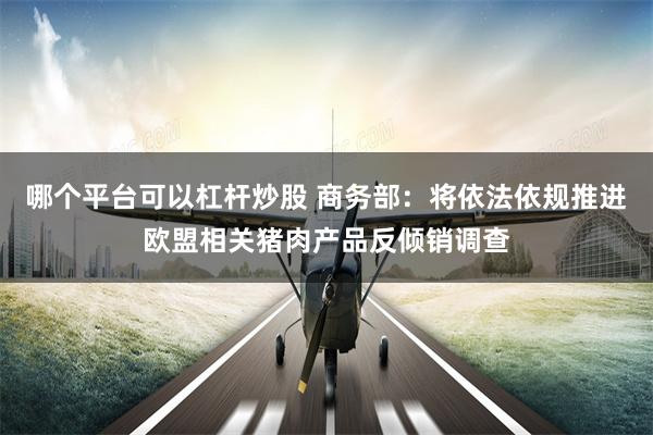 哪个平台可以杠杆炒股 商务部：将依法依规推进欧盟相关猪肉产品反倾销调查