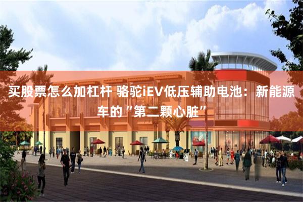 买股票怎么加杠杆 骆驼iEV低压辅助电池：新能源车的“第二颗心脏”