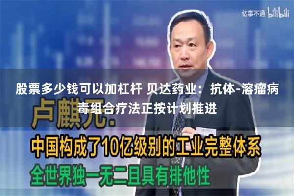 股票多少钱可以加杠杆 贝达药业：抗体-溶瘤病毒组合疗法正按计划推进