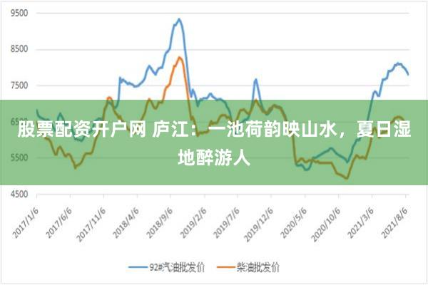 股票配资开户网 庐江：一池荷韵映山水，夏日湿地醉游人