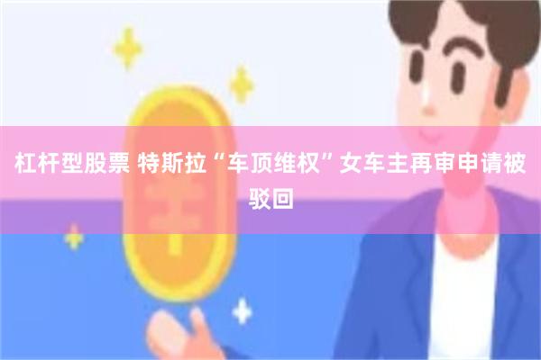 杠杆型股票 特斯拉“车顶维权”女车主再审申请被驳回