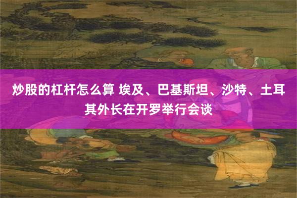 炒股的杠杆怎么算 埃及、巴基斯坦、沙特、土耳其外长在开罗举行会谈