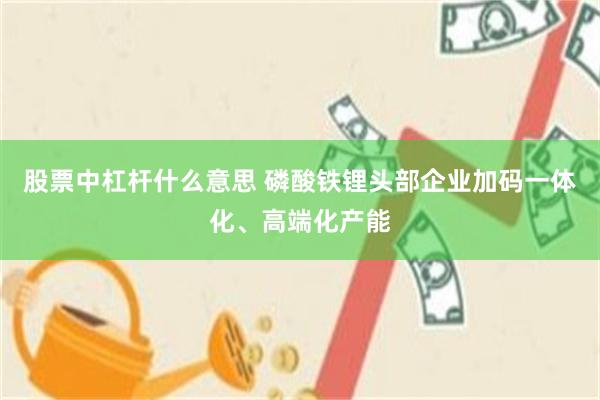 股票中杠杆什么意思 磷酸铁锂头部企业加码一体化、高端化产能