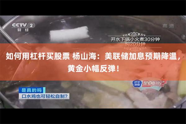 如何用杠杆买股票 杨山海：美联储加息预期降温，黄金小幅反弹！