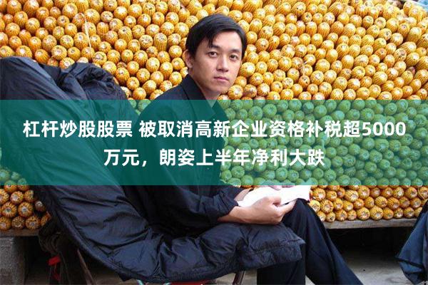 杠杆炒股股票 被取消高新企业资格补税超5000万元,朗姿上半年净利大跌