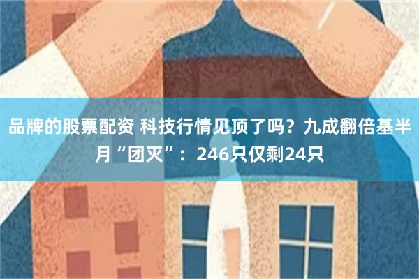 品牌的股票配资 科技行情见顶了吗？九成翻倍基半月“团灭”：246只仅剩24只