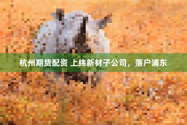杭州期货配资 上纬新材子公司,落户浦东