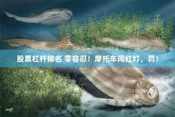 股票杠杆排名 零容忍！摩托车闯红灯，罚！