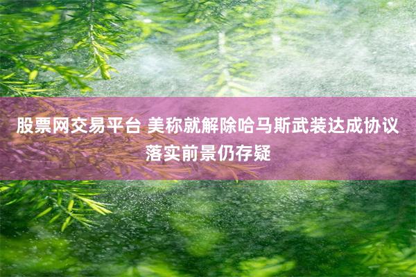 股票网交易平台 美称就解除哈马斯武装达成协议　落实前景仍存疑