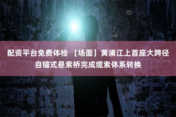 配资平台免费体检 【场面】黄浦江上首座大跨径自锚式悬索桥完成缆索体系转换