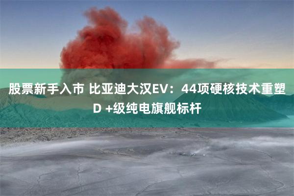 股票新手入市 比亚迪大汉EV：44项硬核技术重塑D +级纯电旗舰标杆