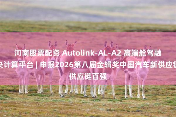 河南股票配资 Autolink-AL-A2 高端舱驾融合中央计算平台 | 申报2026第八届金辑奖中国汽车新供应链百强