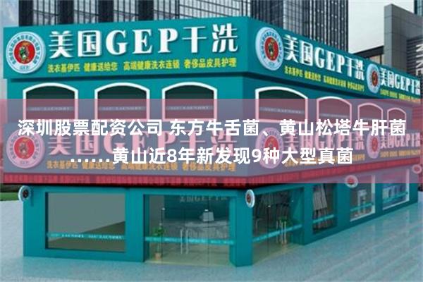 深圳股票配资公司 东方牛舌菌、黄山松塔牛肝菌……黄山近8年新发现9种大型真菌