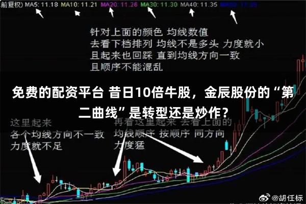 免费的配资平台 昔日10倍牛股，金辰股份的“第二曲线”是转型还是炒作？