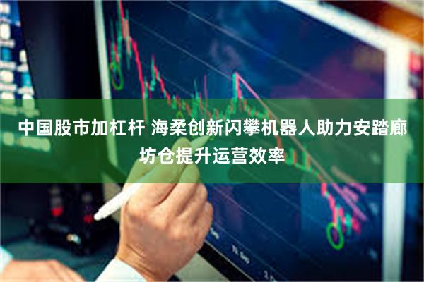 中国股市加杠杆 海柔创新闪攀机器人助力安踏廊坊仓提升运营效率