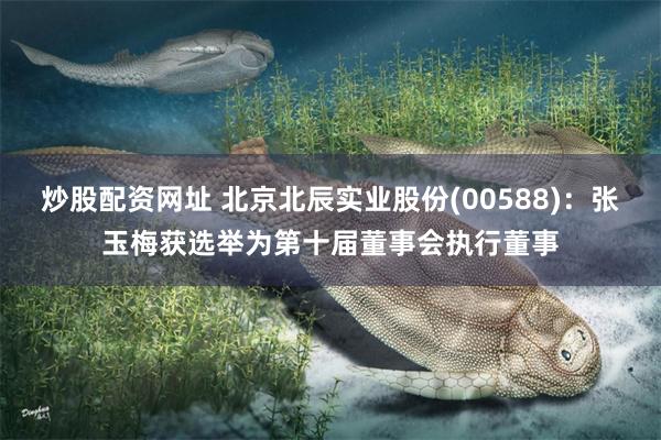炒股配资网址 北京北辰实业股份(00588)：张玉梅获选举为第十届董事会执行董事