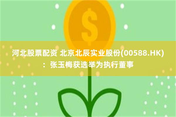 河北股票配资 北京北辰实业股份(00588.HK)：张玉梅获选举为执行董事