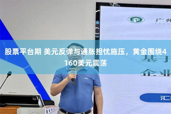 股票平台期 美元反弹与通胀担忧施压，黄金围绕4160美元震荡