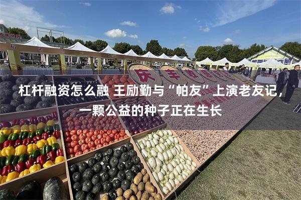 杠杆融资怎么融 王励勤与“帕友”上演老友记，一颗公益的种子正在生长